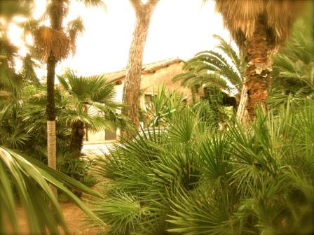 ...altra vista del Coffee Studio