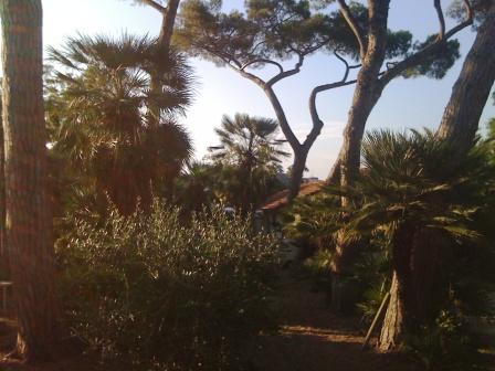 ...il Parco..